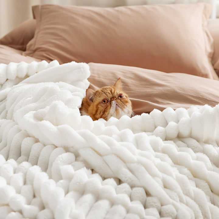 Bedsure White Throw Blanket for Couch Super Soft Cozy Blankets